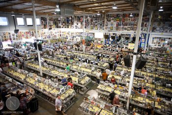 rsd_006.jpg