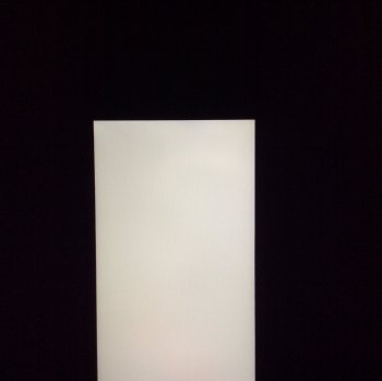 image.jpeg