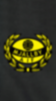Mjallby Aif 02.png