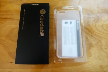 caudabe1 copy.jpg