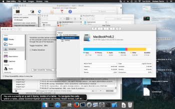2015-11-17 03-56-30 Disk Utility main window inaccessible.png