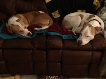 20151206_025540000_iOS.jpg 20151206_025540000_iOS.jpg