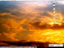 Picture-1.jpg
