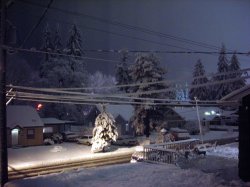 everett_snow.jpg