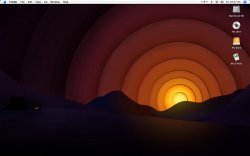 Picture 1_1000x625.shkl.jpg