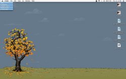 dec_desktop.jpg