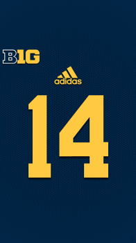 Michigan Wolverines 01.png