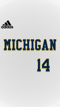 Michigan Wolverines 02.png
