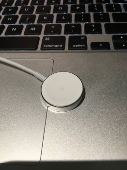 image.jpeg