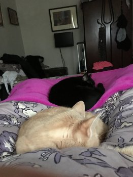 image.jpeg image.jpeg