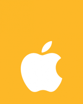  yellow.png