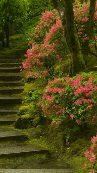 Garden Path.png