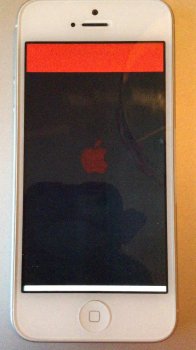 IMG_0684.JPG