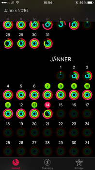 IMG_0331.PNG