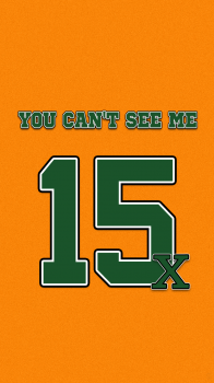 15x orange.png