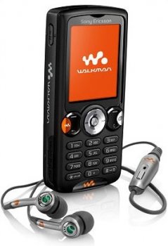 w810-1.jpg