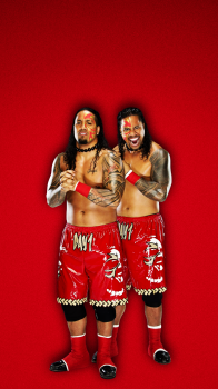 Usos 03.png