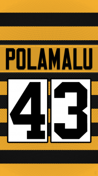 Pittsburgh Steelers Polamalu.png
