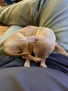 FullSizeRender 3.jpg FullSizeRender 3.jpg