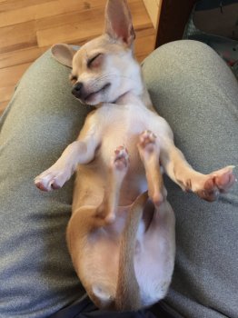 IMG_0486.JPG IMG_0486.JPG