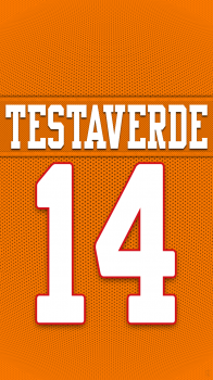 Tampa Bay Buccaneers Testaverde.png