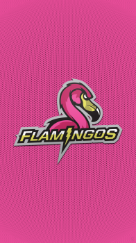 LV Flamingos.png