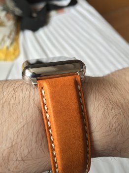 IMG_2308.JPG IMG_2308.JPG