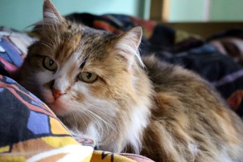 IMG_0038 (1).jpg IMG_0038 (1).jpg