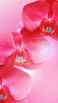 Pink Red Flowers.png
