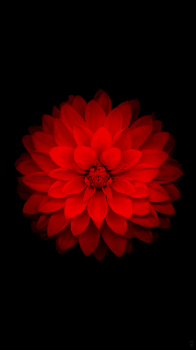 Red Flower.png