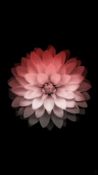 Faded Flower.png