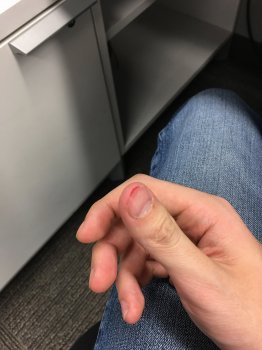 image.jpeg
