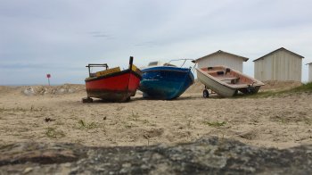 IMG_0371.jpg