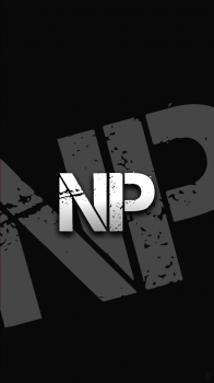 NP 03.png