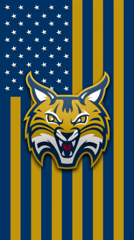 Quinnipiac Bobcats flag.png