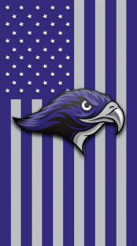 Stonehill Skyhawks flag.png
