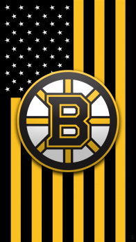 Boston Bruins flag.png