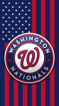 Washington Nationals flag.png