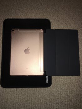 image.jpeg