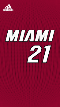 Miami Heat Whiteside 01.png