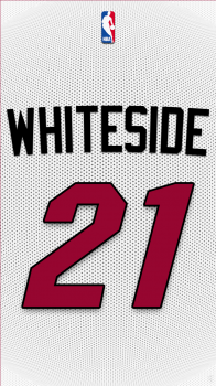 Miami Heat Whiteside 02.png