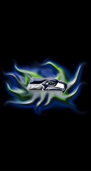seahawks3.jpg