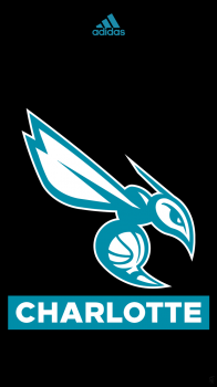 Charlotte Hornets 01.png