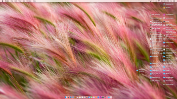 Screen Shot 2016-05-01 at 12.12.26.png