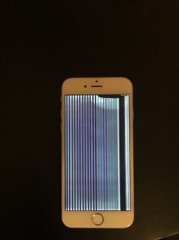 IMG_1123 copy.jpg