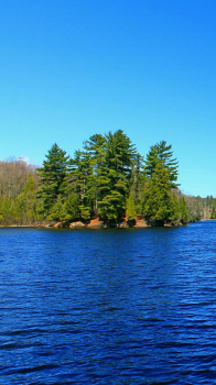 Lake View 01.png