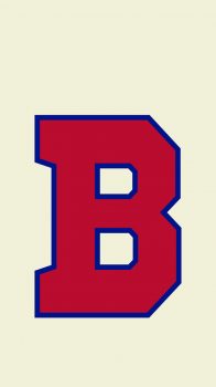 Bisons 02.png