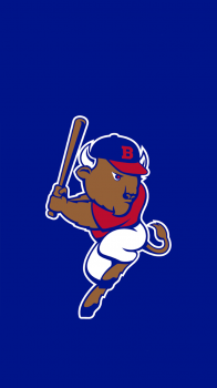 Bisons 03.png