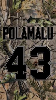 Pittsburgh Steelers Polamalu camo.png
