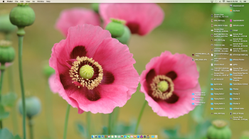 Screen Shot 2016-06-01 at 15.15.03.png